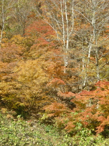 e0206820_18555677.jpg