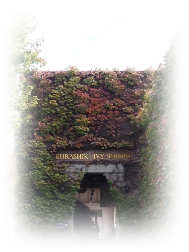 c0026824_10323718.jpg