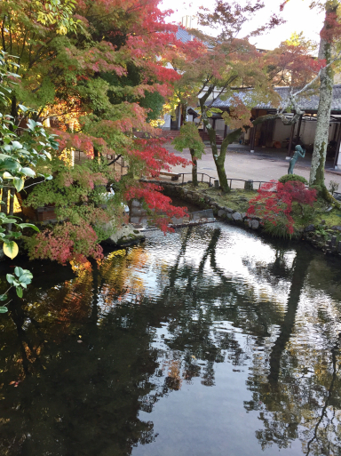 永観堂の紅葉_c0223630_09592940.jpg