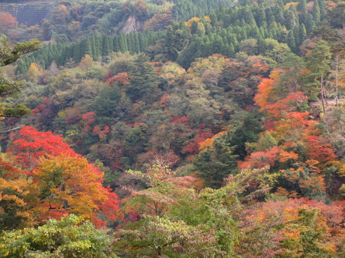 b0014732_07192182.jpg