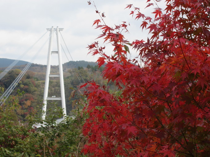 b0014732_07233130.jpg
