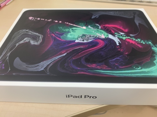 iPad Pro 11 inch_b0028732_22373837.jpeg