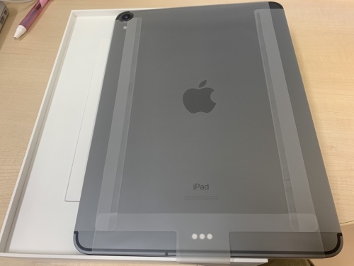 iPad Pro 11 inch_b0028732_22375207.jpeg