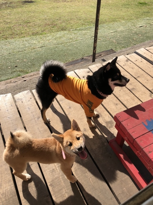 b0369239_13100473.jpeg