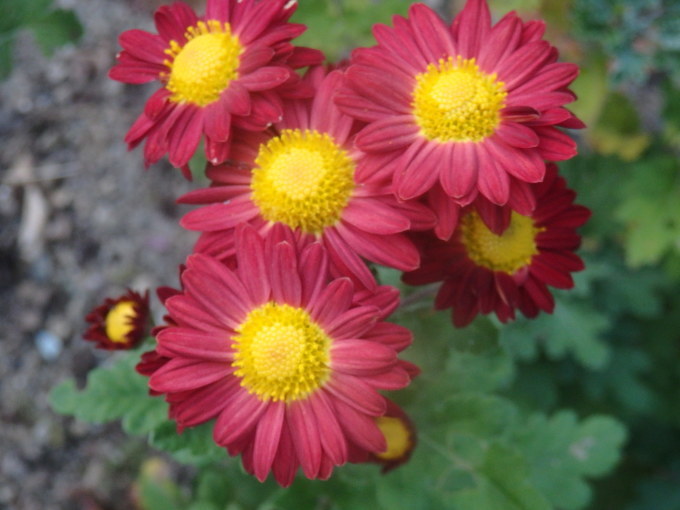 a0054240_20284376.jpg
