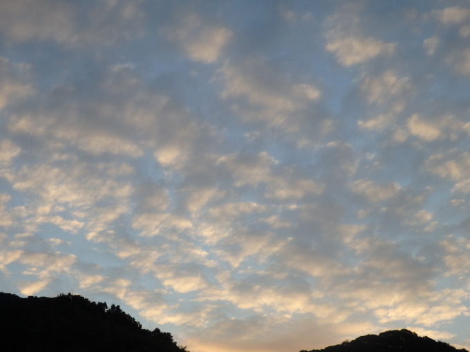 a0054240_21082487.jpg