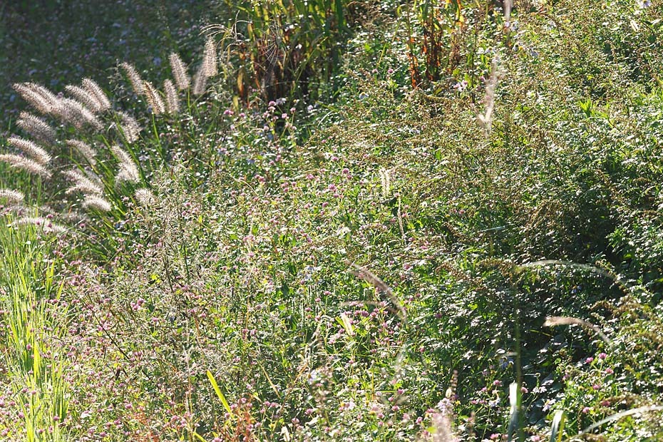 c0067040_22153658.jpg