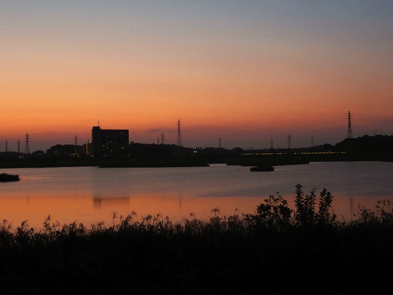 d0290240_13391322.gif