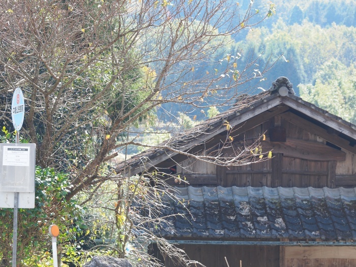 c0281841_12395042.jpg