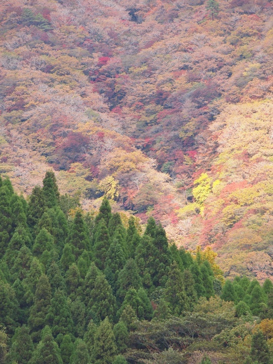 c0281841_13545520.jpg