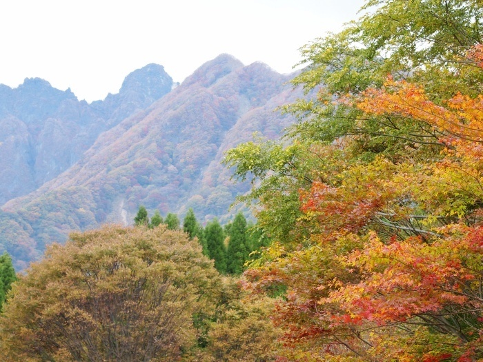 c0281841_14435541.jpg