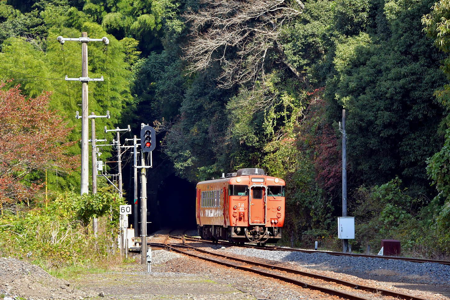 岩徳線と錦川鉄道_a0251146_20385168.jpg