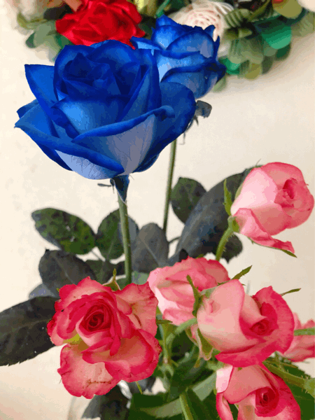 f0017548_21242785.gif