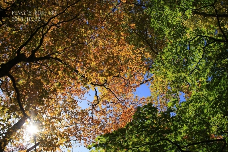 c0145250_11250763.jpg