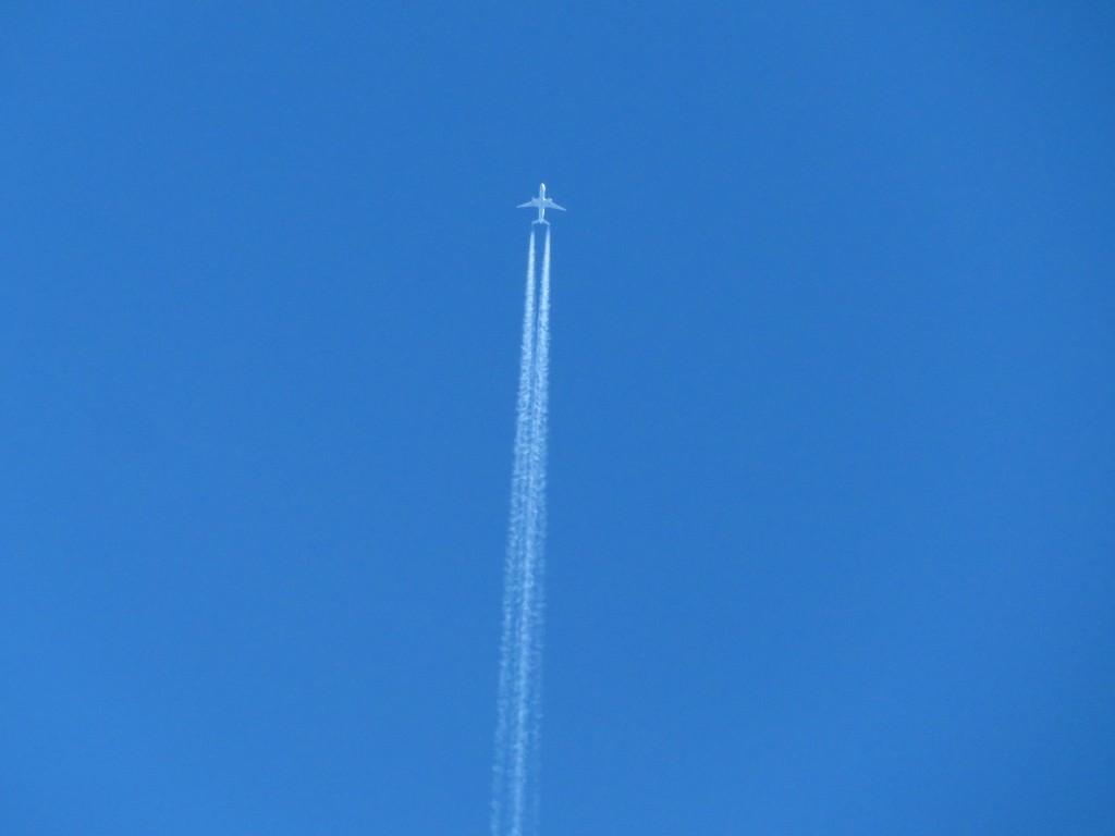 a0018655_10184563.jpg