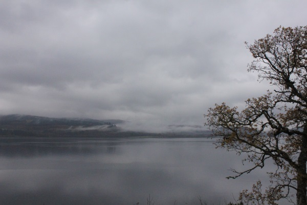 f0179059_00491127.jpg
