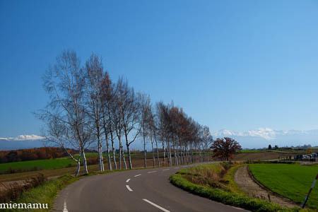 d0340565_19304521.jpg