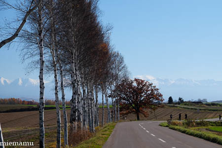 d0340565_19310743.jpg