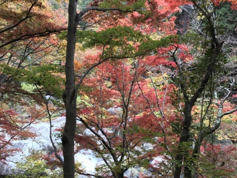奇岩と紅葉の絶景、昇仙峡の秋を愉しむ11・7_c0014967_16145692.jpg