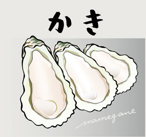 かき 岩がきのイラストを描きました まめがね手帖
