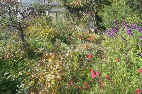 e0181373_22201079.jpg