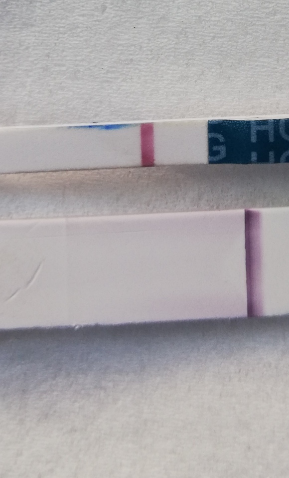 仮高温期11日目 チェックワン薄い線 二人目不育症日記