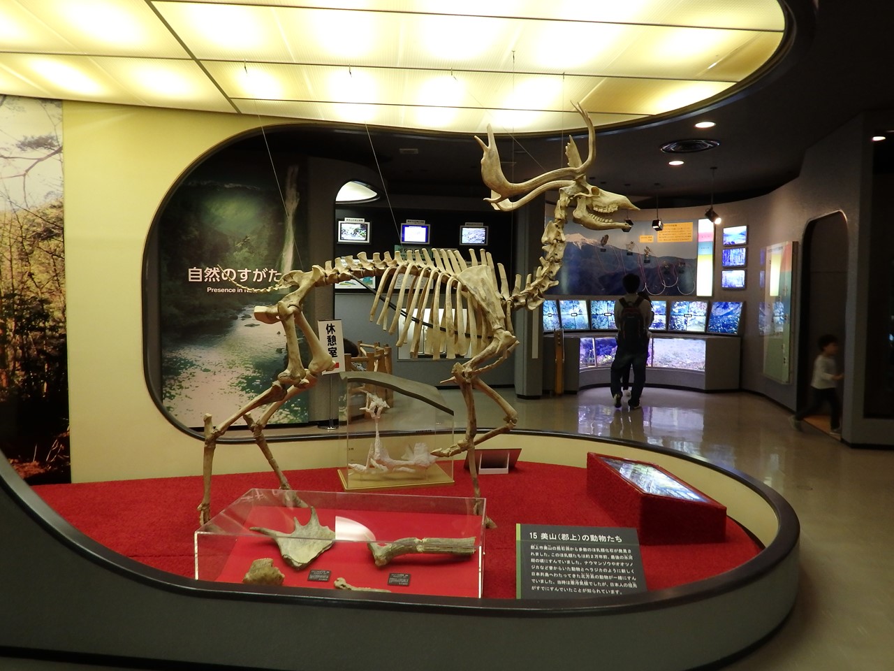 d0054276_20435568.jpg