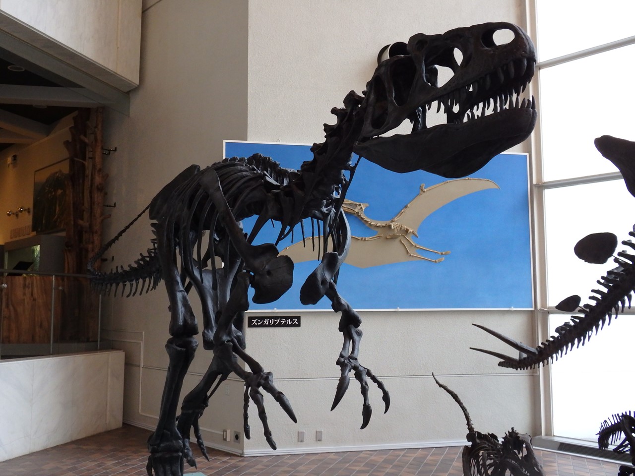 d0054276_20441769.jpg