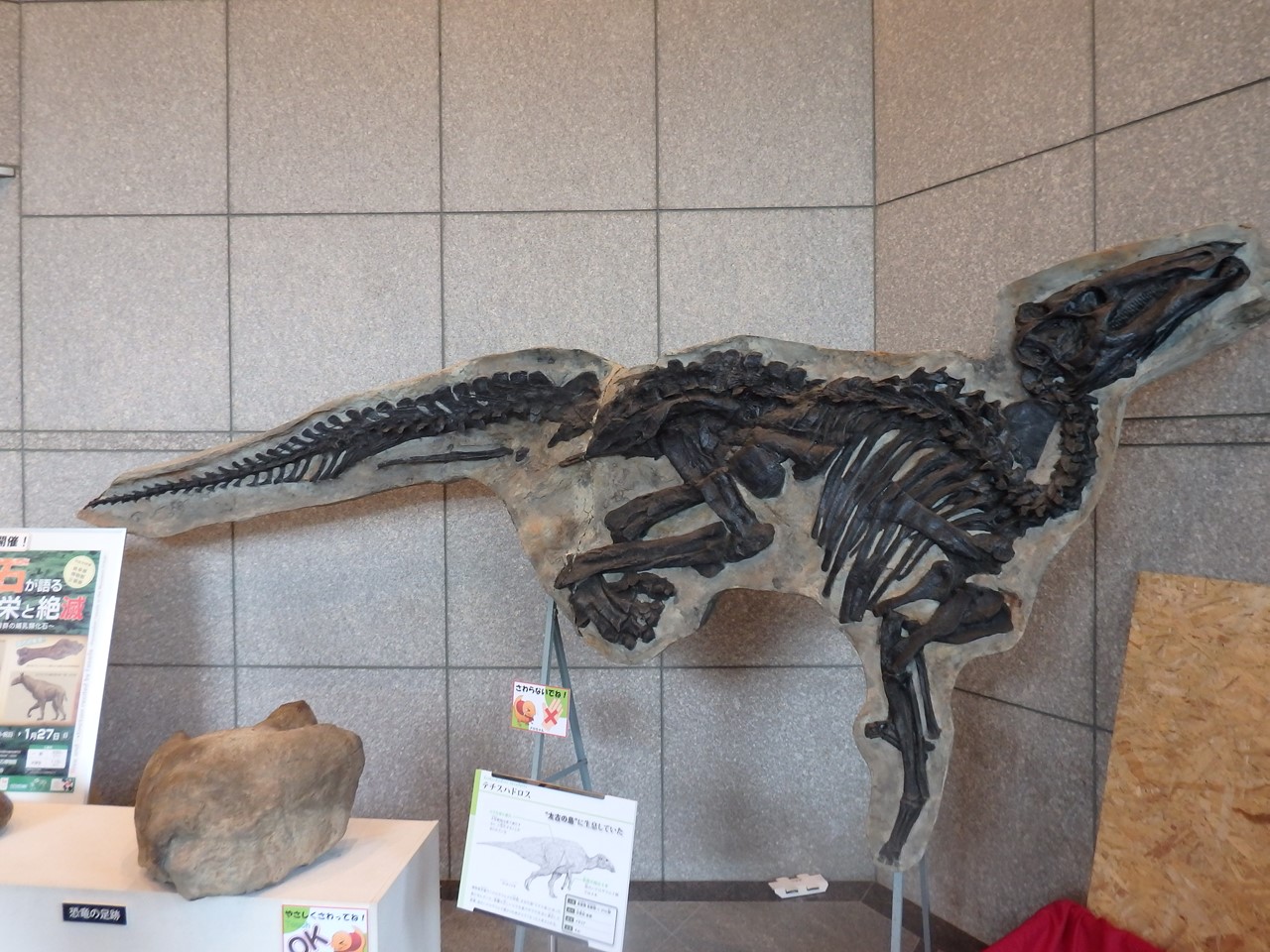 d0054276_2046444.jpg