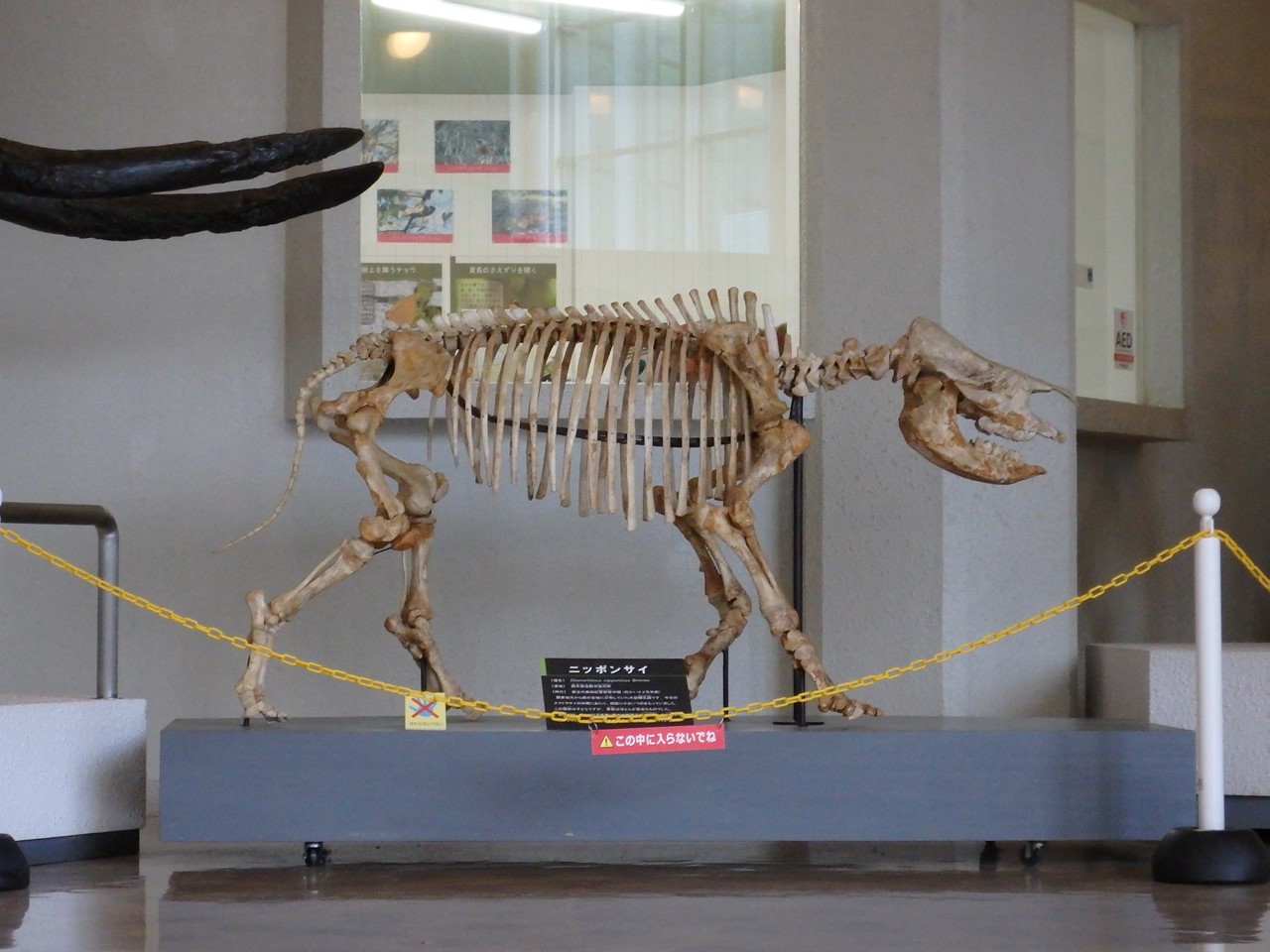 d0054276_20472664.jpg