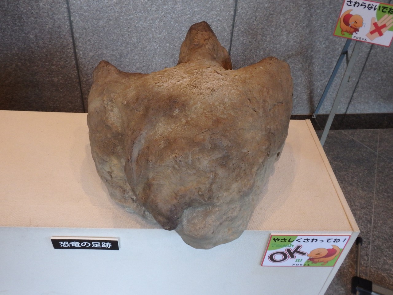 d0054276_20515486.jpg