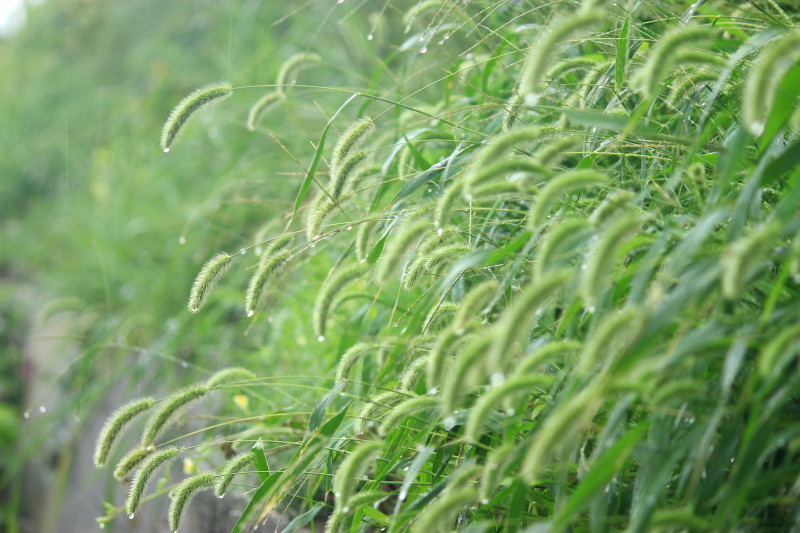b0093678_21235574.jpg