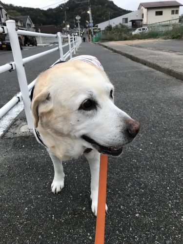 f0315081_21351239.jpeg