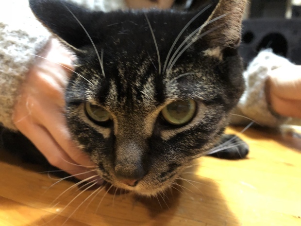 b0377882_22555442.jpeg