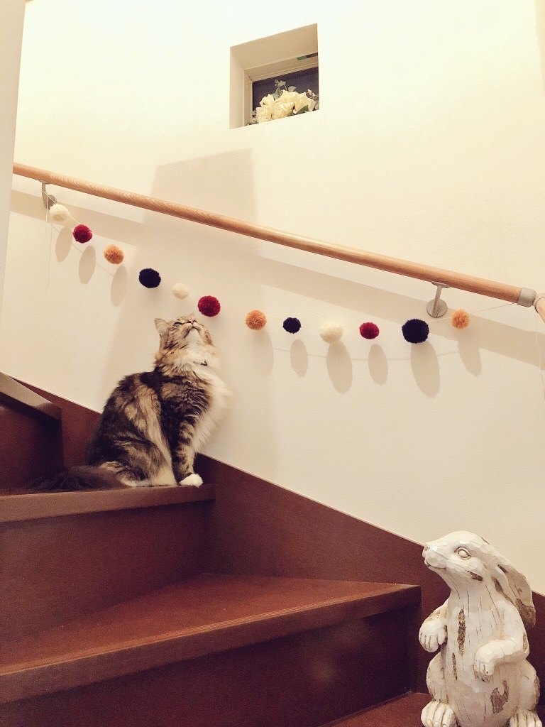 b0340883_18325193.jpeg