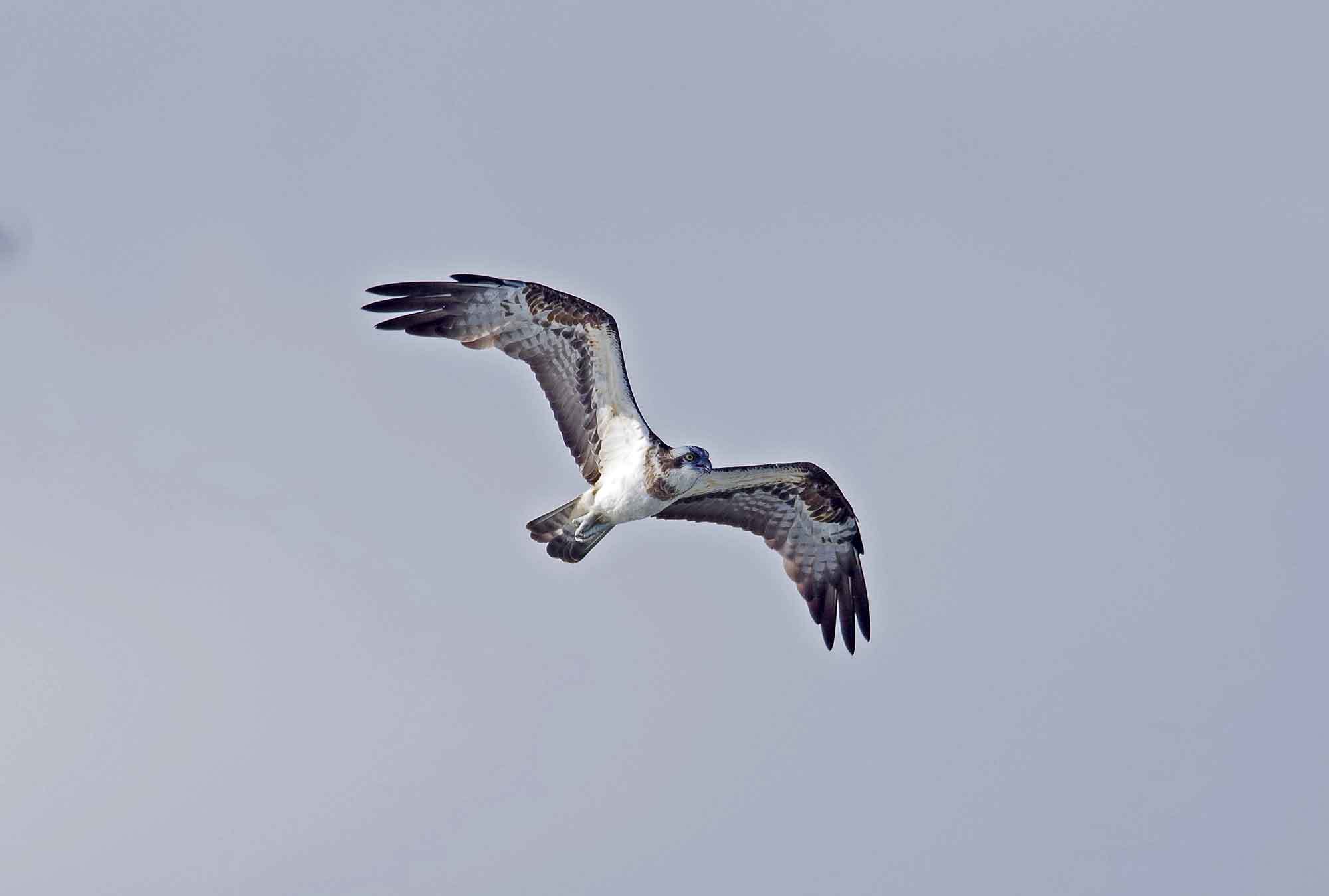 c0176183_11204520.jpg