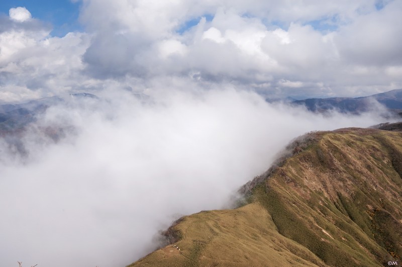 秋の冠林道と晩秋の冠山_a0276584_02525254.jpg