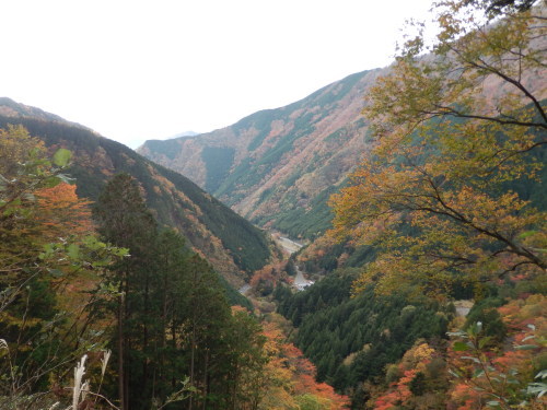 b0334084_21204082.jpg