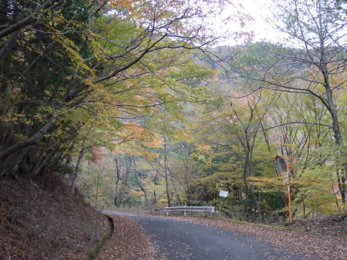 b0334084_21205634.jpg