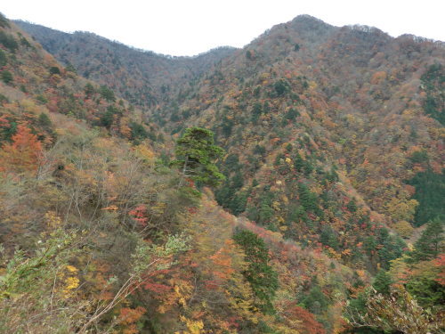 b0334084_21221954.jpg