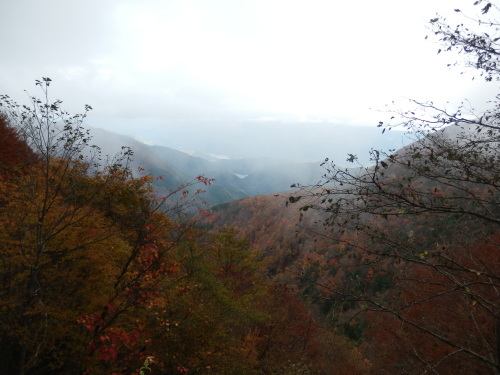 b0334084_21263558.jpg