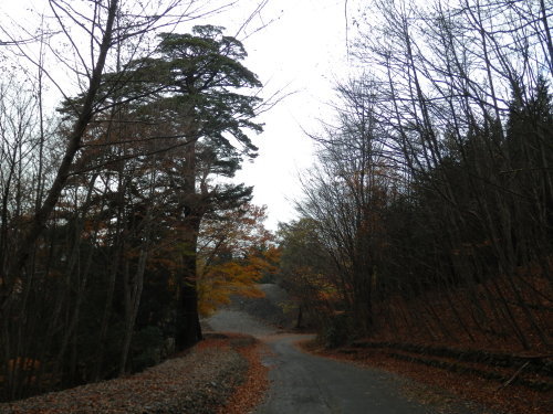 b0334084_21264701.jpg