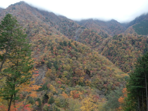b0334084_21284068.jpg