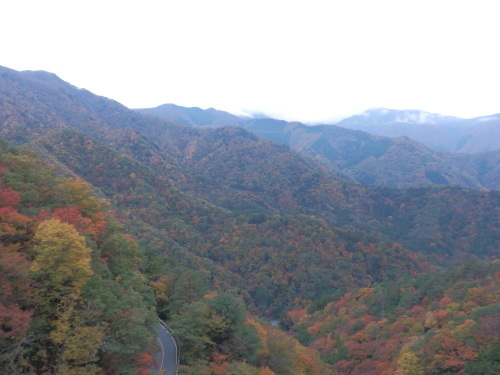 b0334084_21304311.jpg