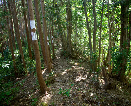 b0123486_06013360.jpg