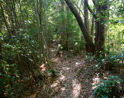 b0123486_07403649.jpg