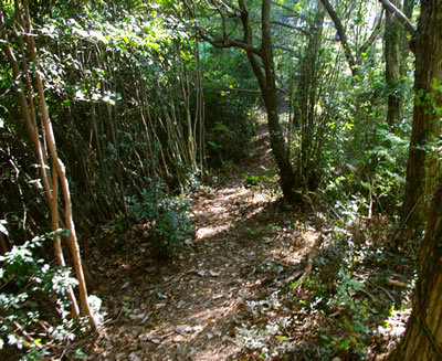 b0123486_08080402.jpg