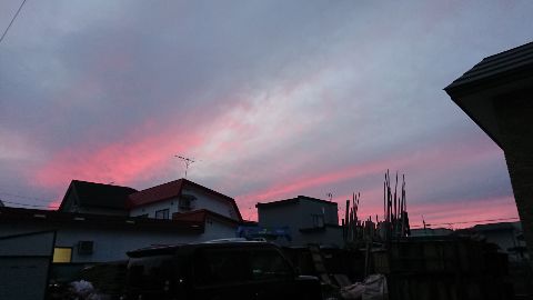 a0142989_1725020.jpg