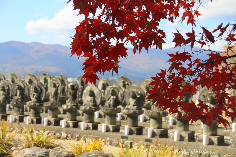 信州の紅葉の名所　長円寺_f0374092_16273224.jpg