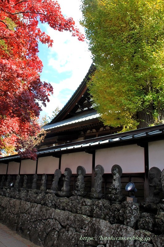 信州の紅葉の名所　長円寺_f0374092_16355829.jpg